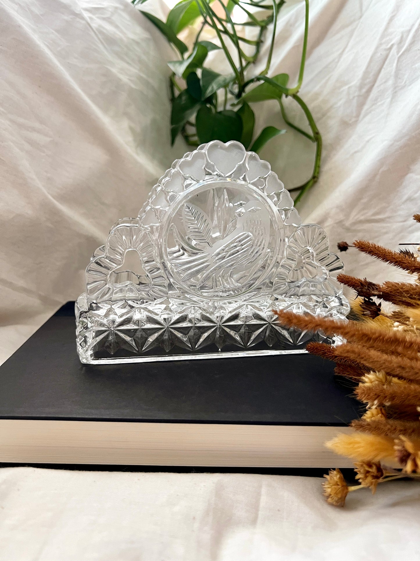 Hofbauer Byrdes 24% Crystal Napkin Holder