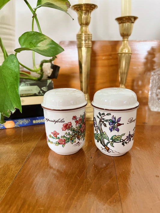 Vintage Villeroy & Bosch Botanica Salt & Pepper Shakers